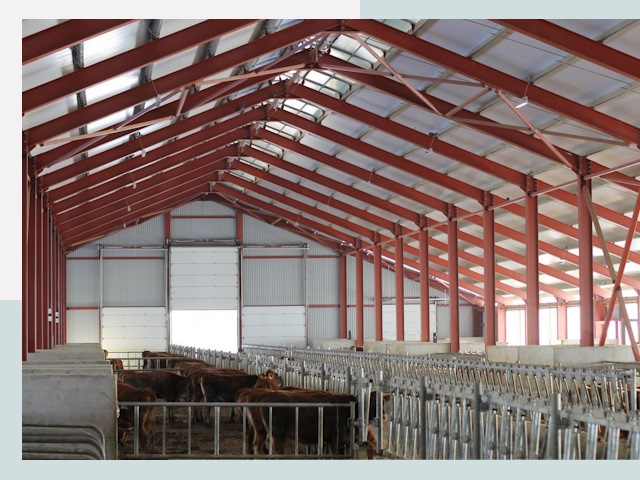 Строительство коровников в Рассказово