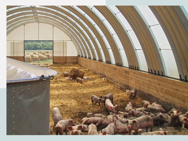 Строительство свинарников в Рассказово