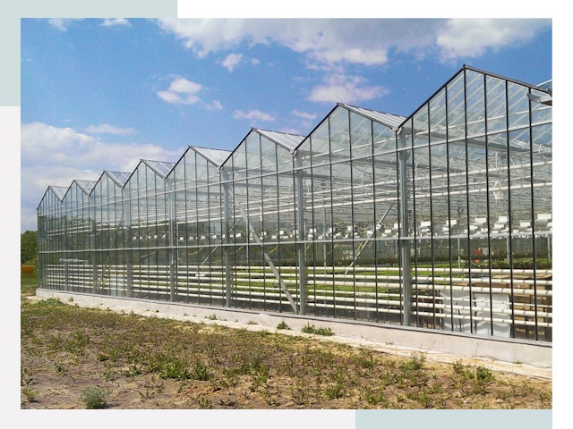 Строительство теплиц в Рассказово от 613 руб. за м²