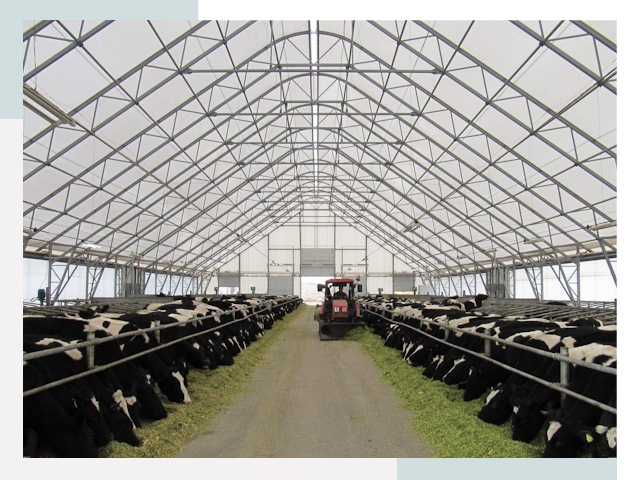 Тентовые коровники в Рассказово от 613 руб. - Надежно и доступно