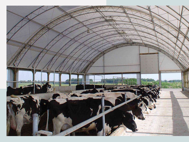 Тентовые коровники в Рассказово